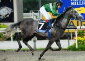 Rappor<br>Photo by Singapore Turf Club